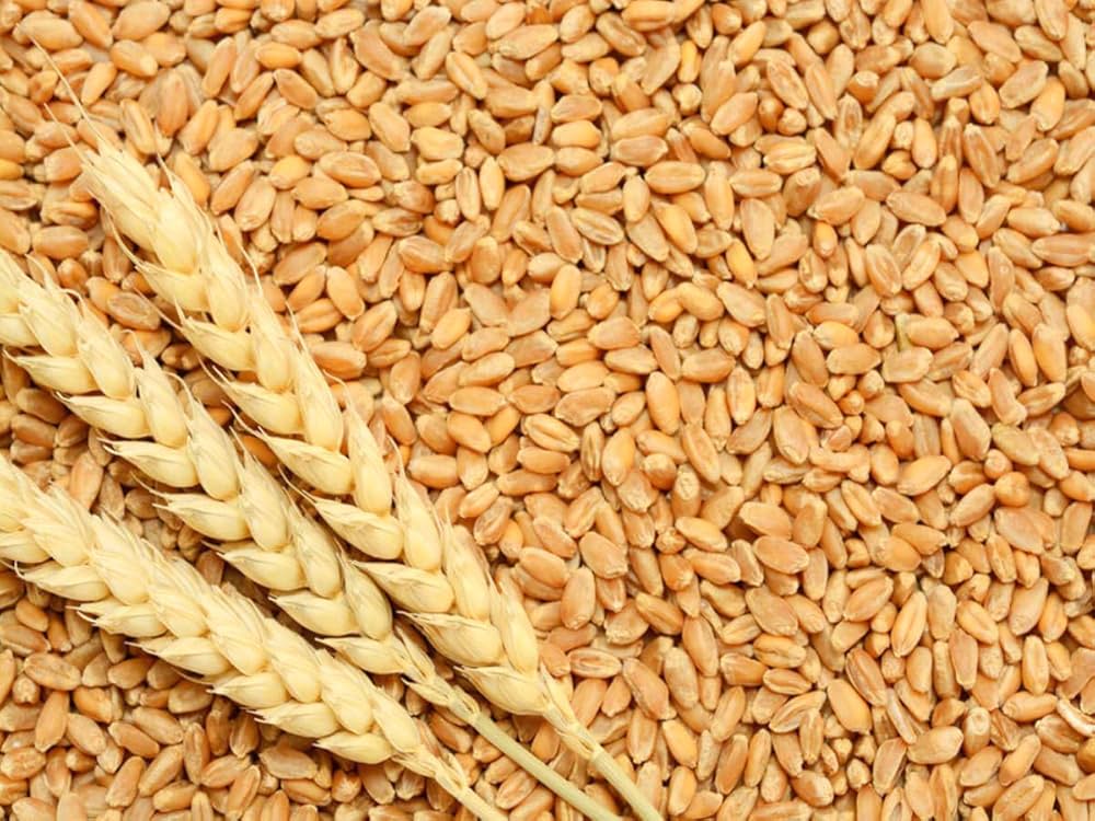 Grains